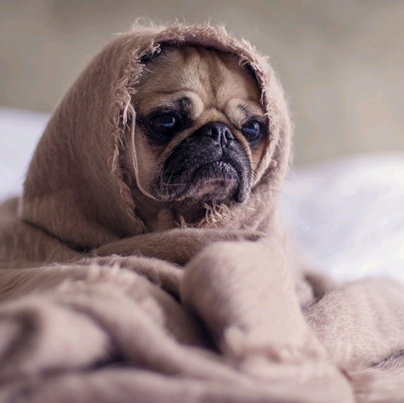 Meet your Posher, Moriah - Picture 1 of 5